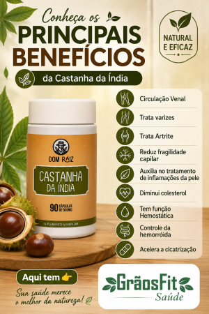 CASTANHA DA ÍNDIA